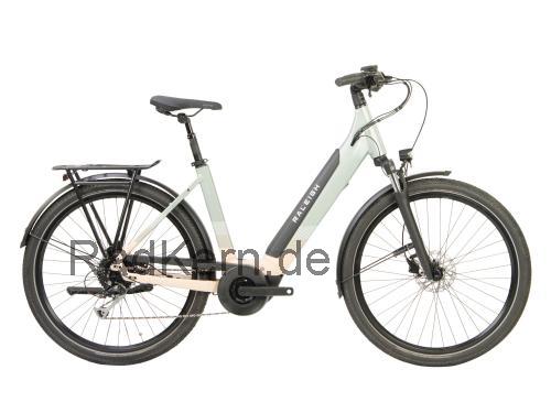Raleigh Centros Grand Tour Low Step technische daten